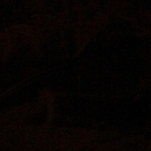 Meet your Posher, Rita